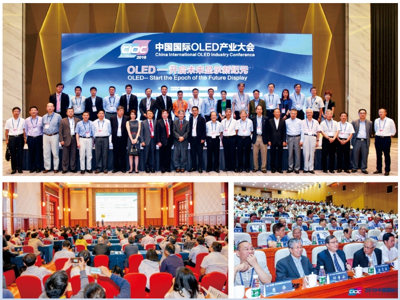 OLED产业大会现场.png